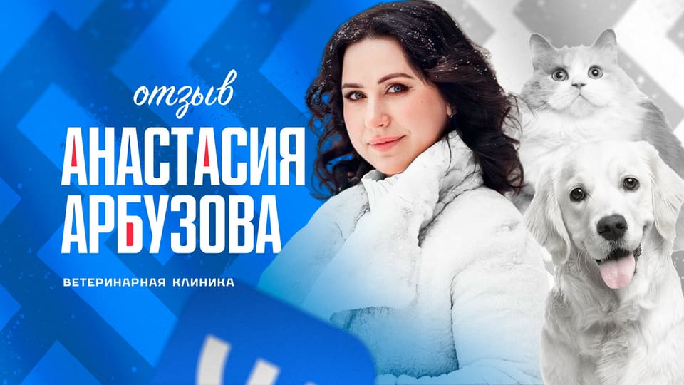 Кадр видеоразбора: Ветклиника «Добрый доктор» (Анастасия Арбузова)
